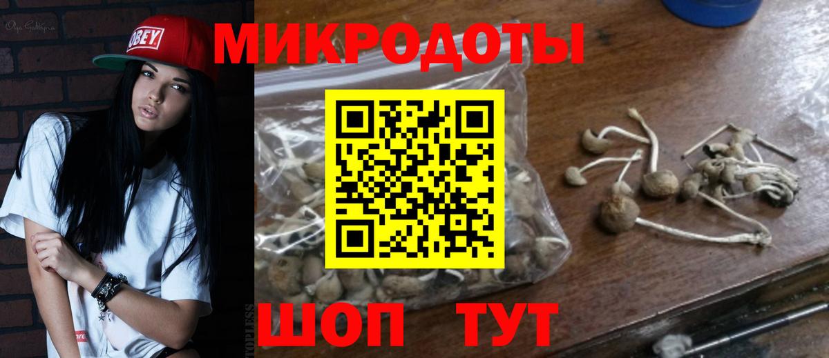 Кушва  Галлюциногенные грибы Magic Shrooms  Вход с VPN  Псилоцибиновые грибы Psilocybe 