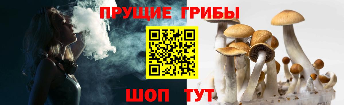 Галлюциногенные грибы прущие грибы Кушва